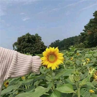 奥特曼酷跑手机游戏下载
